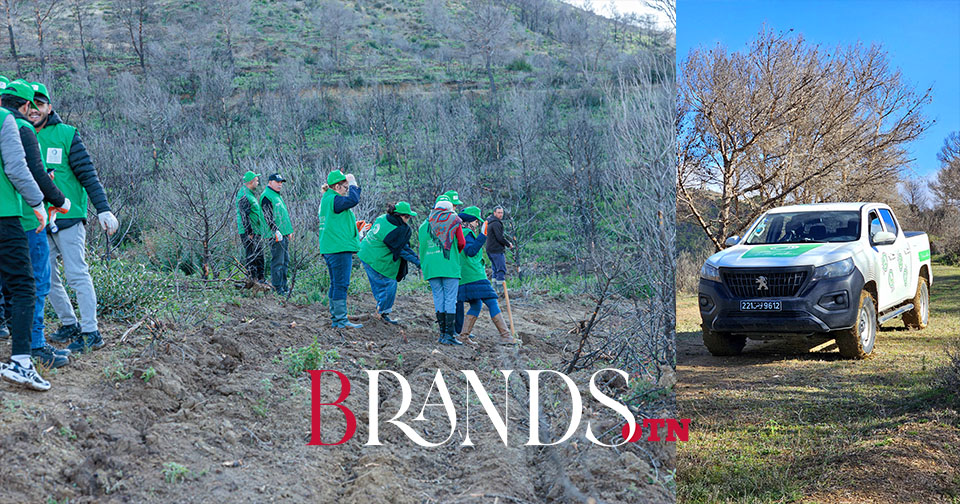 Le groupe STAFIM et la marque Peugeot Landtrek lancent une initiative pour planter 10 000 arbres dans une forêt incendiée à Krib, gouvernorat de Siliana (Photos)