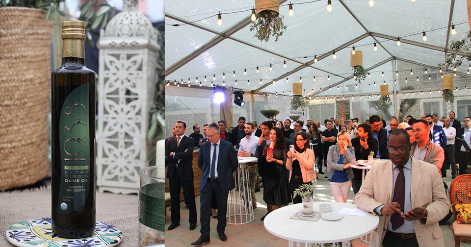 شركة بترولية تطلق مشروع نموذجي لإنتاج وتصدير زيت الزيتون التونسي