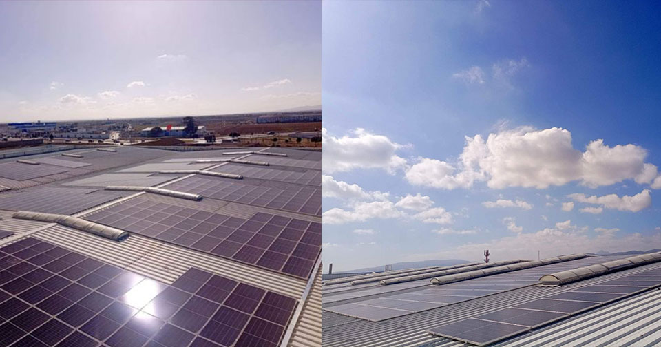 في إطار انتقالها نحو الطاقات النظيفة مجموعة ديليس تنطلق في تركيز  اللوحات الشمسية في مختلف وحداتها الصناعية